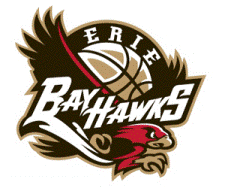 BayHawksLogo BayHawksLogo